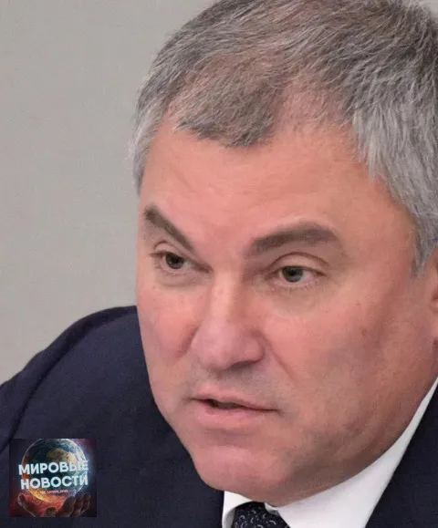 В Госдуме обратились к гражданам с предложением