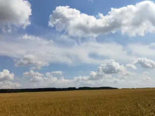 Новости сельского хозяйства