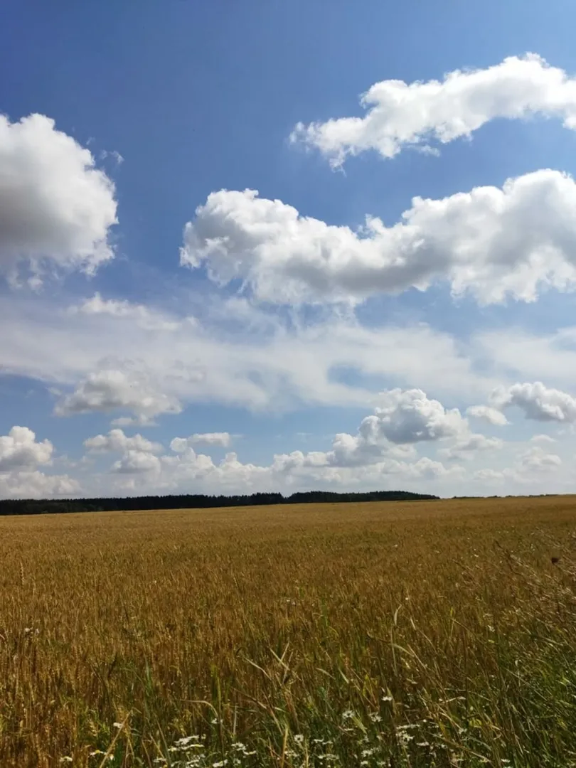 Новости сельского хозяйства