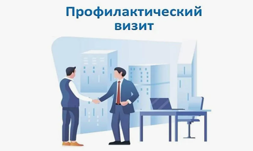 Профилактический визит