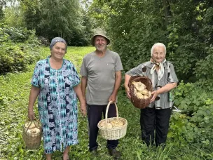 «По грибы»