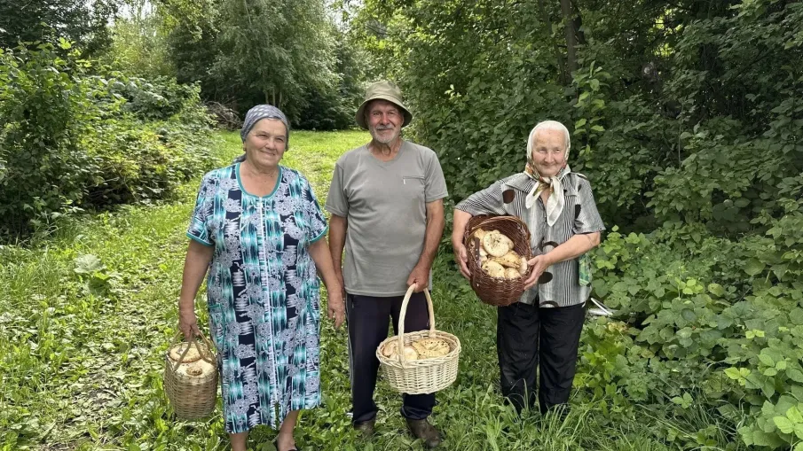 «По грибы»