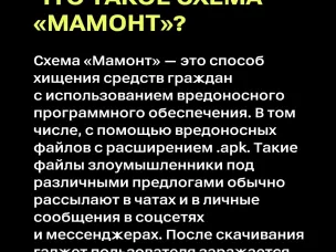 Что такое схема «Мамонт»?