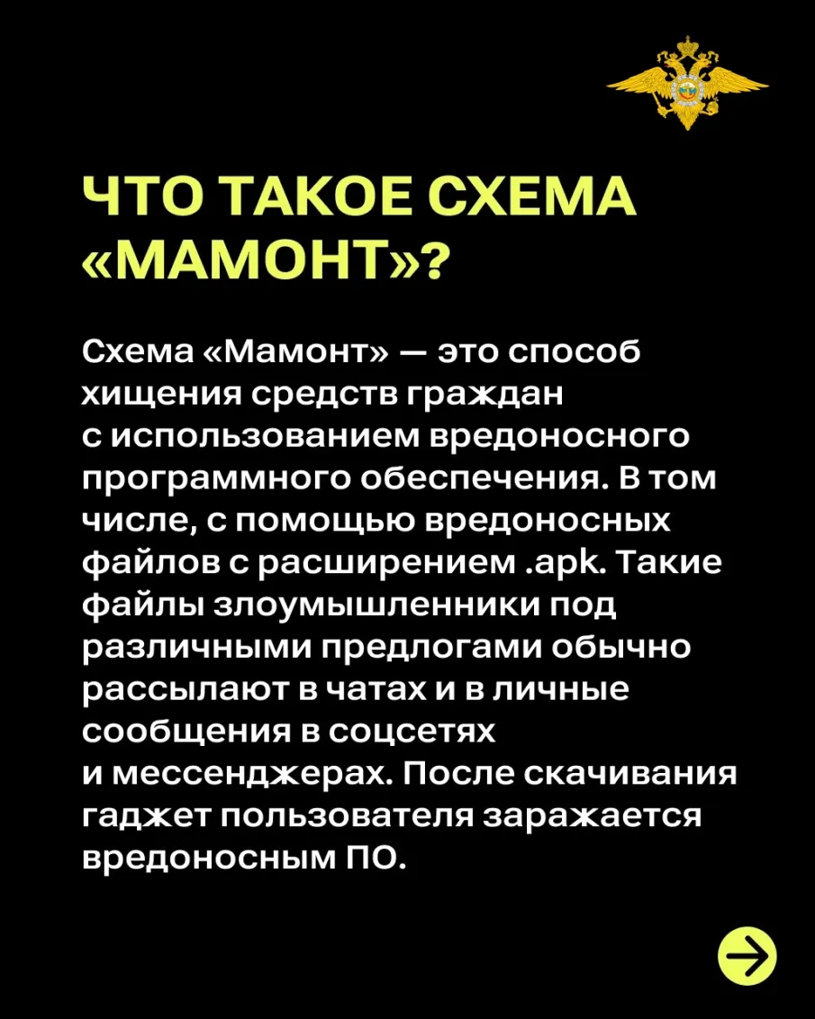 Что такое схема «Мамонт»?