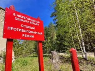 Как отдохнуть в лесу и не стать случайным виновником пожара?