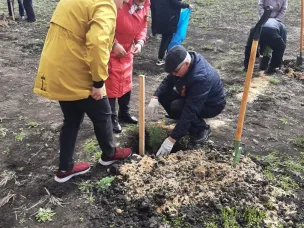 Акция "Посади кедр"