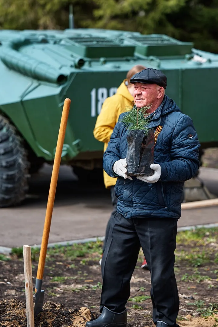 Посади кедр