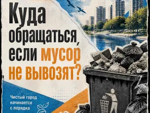Контейнеры переполнены? Разбираемся, кто отвечает за чистоту и куда обращаться
