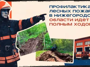Профилактика лесных пожаров в Нижегородской области идёт полным ходом