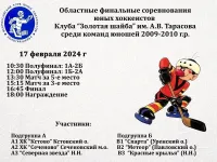 Хоккей 17 февраля