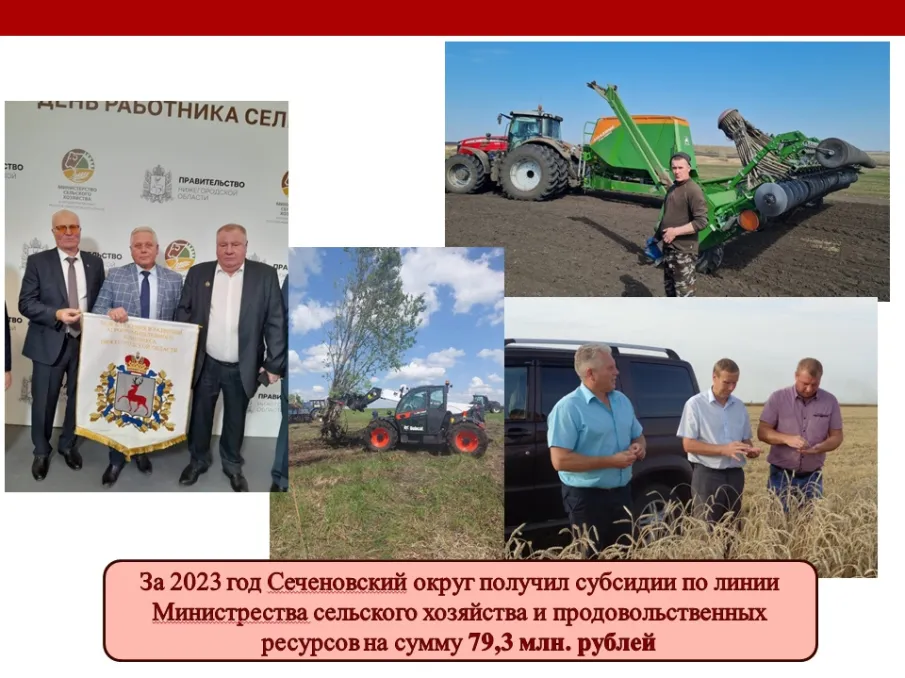 Сельское хозяйство