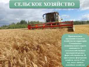 Сельское хозяйство