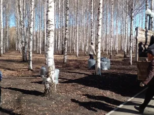 Благоустройство