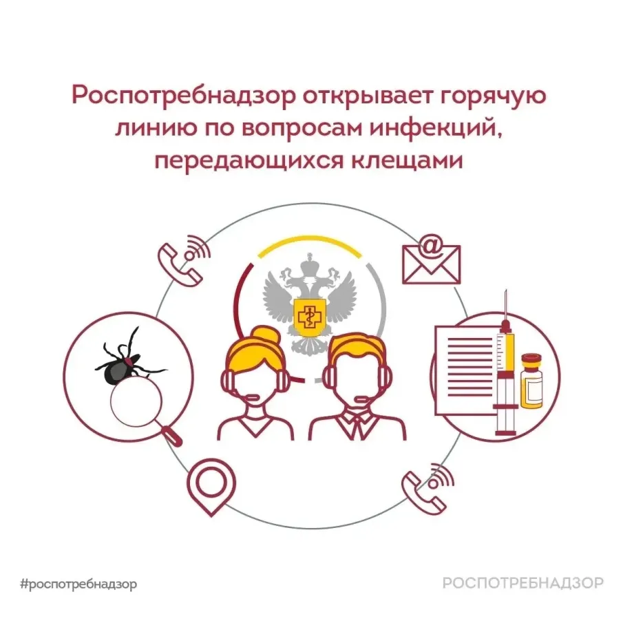 Всероссийская горячая линия по вопросам профилактики клещевого вирусного энцефалита (КВЭ)