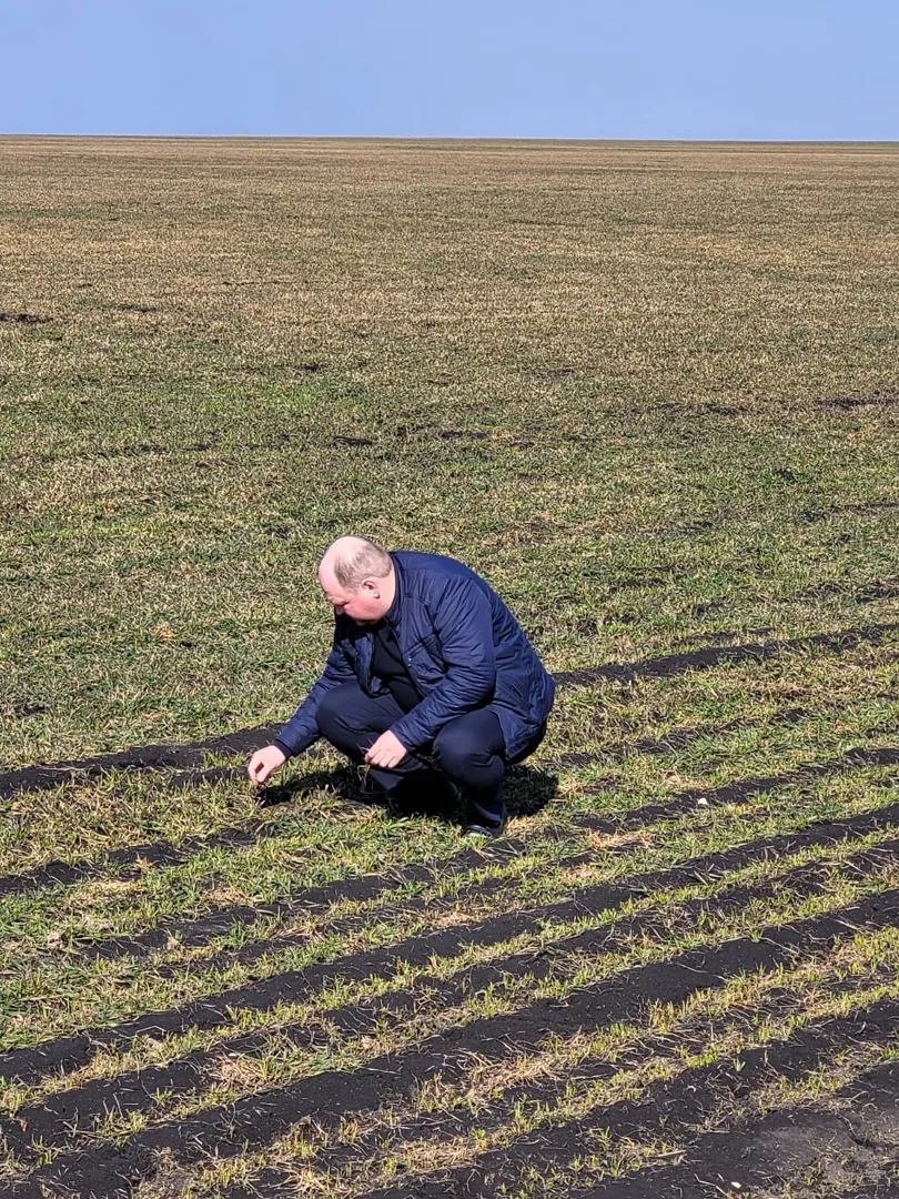 Новости сельского хозяйства