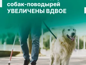 Выплаты на содержание собак-поводырей увеличены вдвое