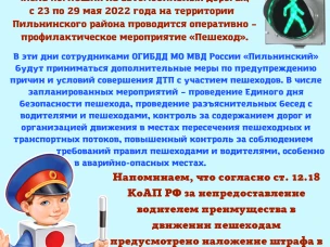 Внимание «Пешеход»!