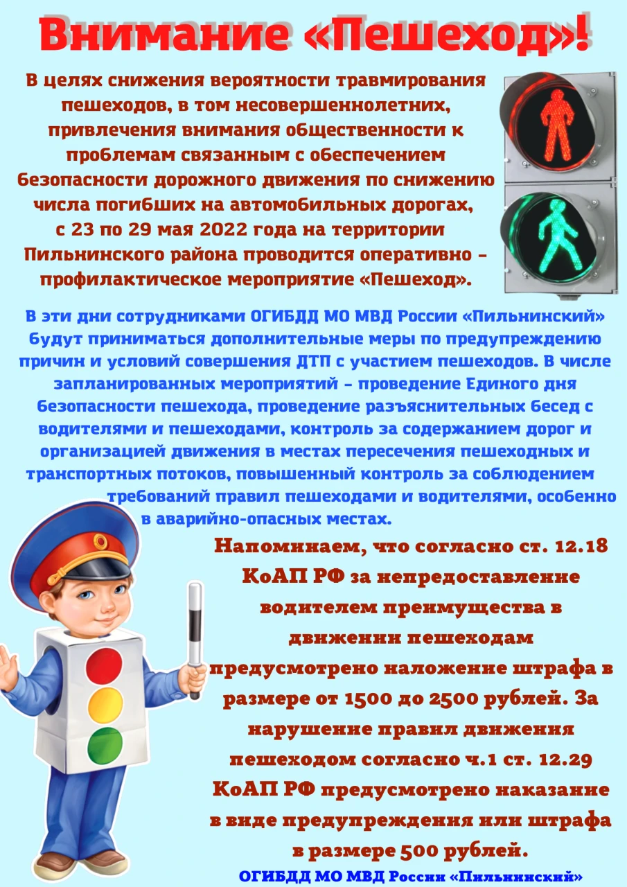 Внимание «Пешеход»!