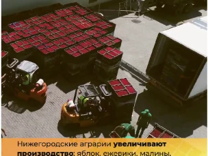 Дефицит витаминов региону не грозит!