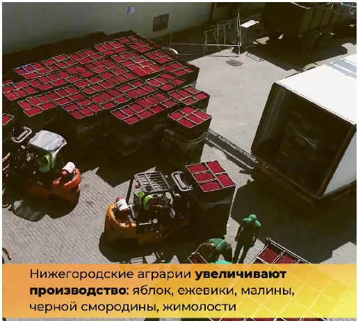 Дефицит витаминов региону не грозит!