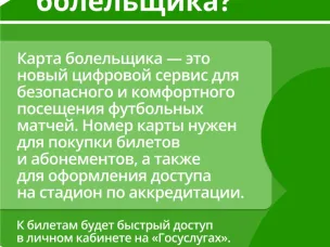 В Нижнем Новгороде появятся электронные карты болельщика