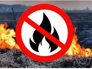 Отдел ГО и ЧС Сеченовского округа напоминает об ответственности за поджог сухостоя