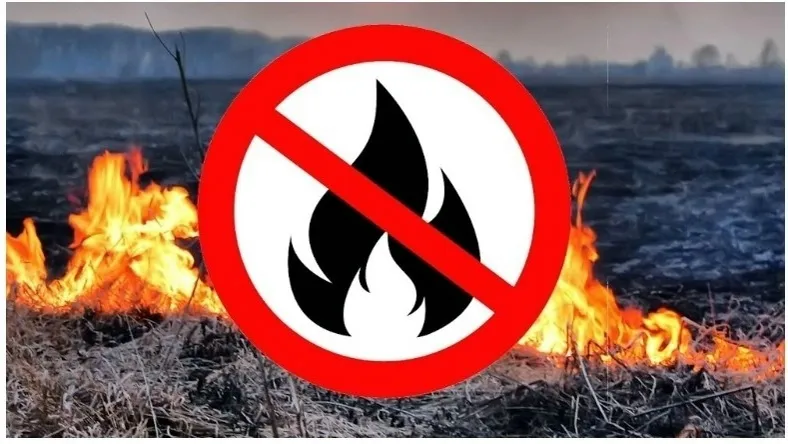 Отдел ГО и ЧС Сеченовского округа напоминает об ответственности за поджог сухостоя