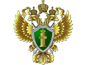 Прокуратурой Сеченовского района проведена проверка в сфере обеспечения безопасности несовершеннолетних на игровых и спортивных площадках, в ходе которой установлено следующее