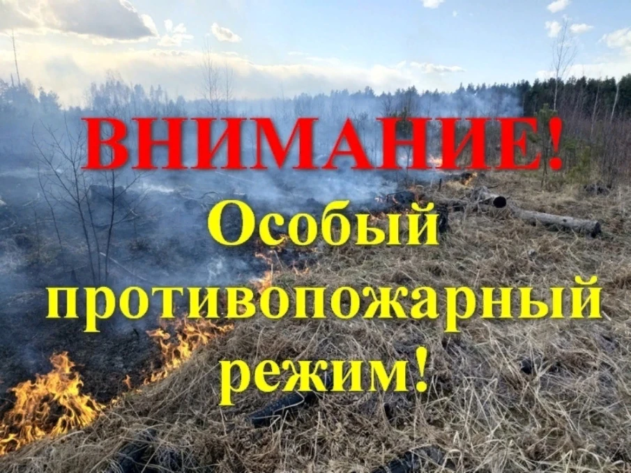 Сектор ГОЧС и ВМП Сеченовского муниципального района напоминает жителям района об опасности пала травы!